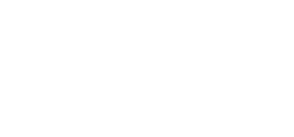 FLY1 logo