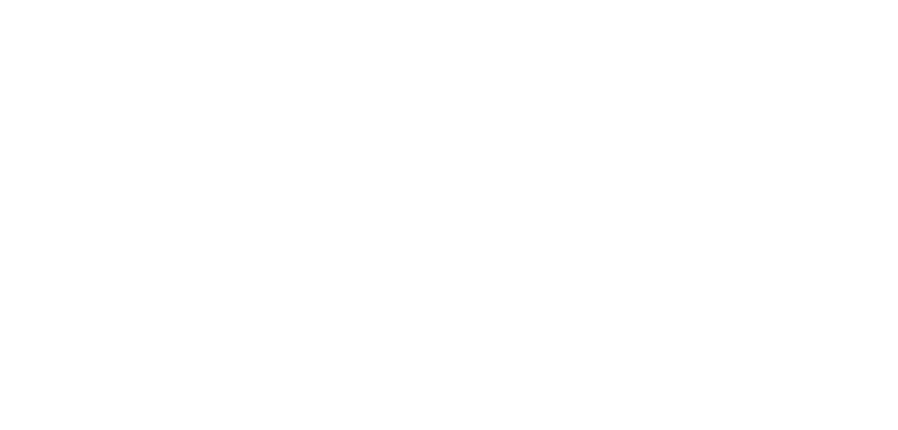 FLY1 logo